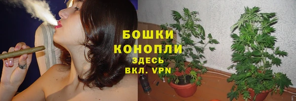 эйфоретик Тихвин