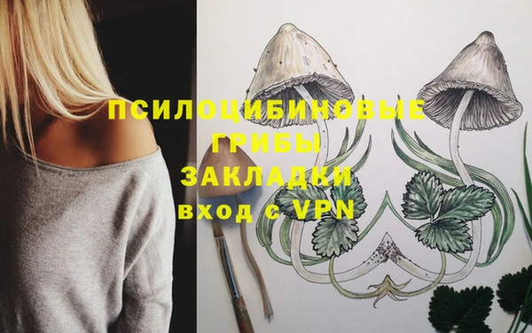 эйфоретик Тихвин